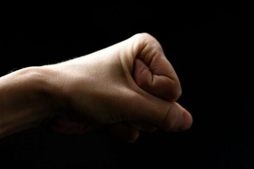 Copeland Counselling - Relationships and the Fight Response