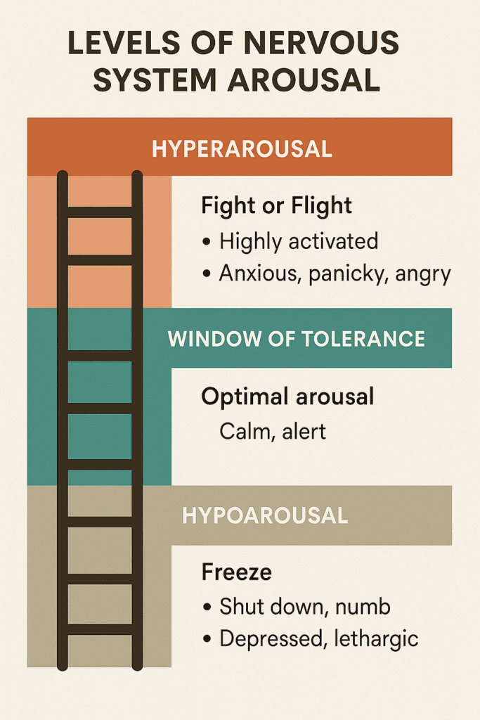 Copeland Counselling - Levels Of Nervous System Arousal